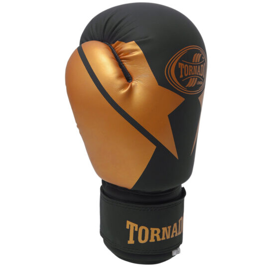 Vinyl Boxing Gloves 11412 R